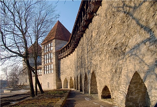 中世纪,要塞,塔