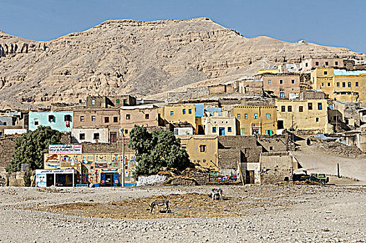 埃及,路克索神庙,区域,努比亚村落