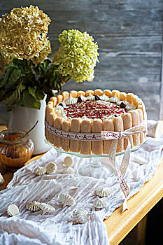 提拉米苏蛋糕,蛋糕,甜,海绵,饼干