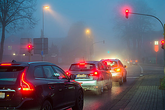 汽车,红灯,雾,夜晚,交通,北莱茵威斯特伐利亚,德国,欧洲