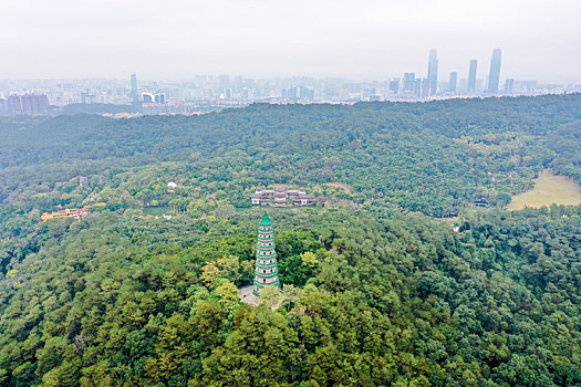 航拍广西南宁青秀山风景区龙象塔