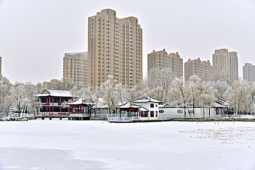 城市景观--公园图片,冬