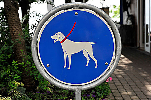 标识,放,狗,拴狗绳,花园,蒙特勒,瑞士,欧洲