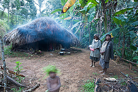 传统,房子,烟,塔里,巴布亚新几内亚