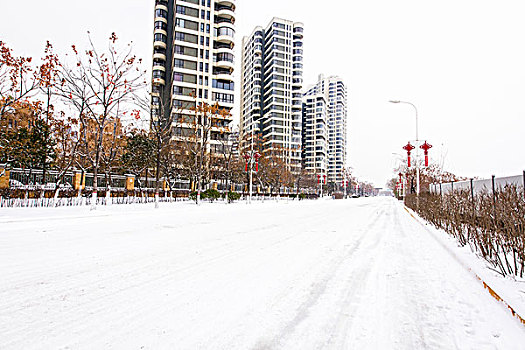 道路