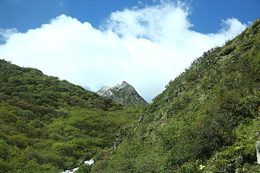 高原美景