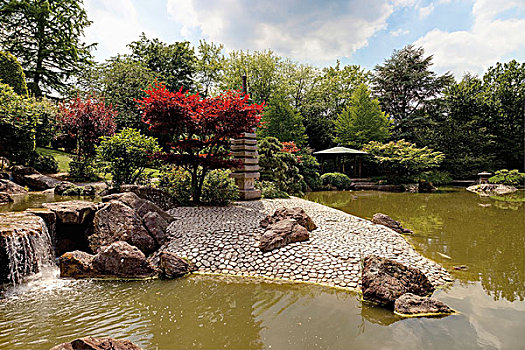 日式庭园,北莱茵-威斯特伐利亚,德国,欧洲