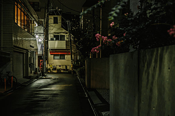 空旷的街道夜景图片