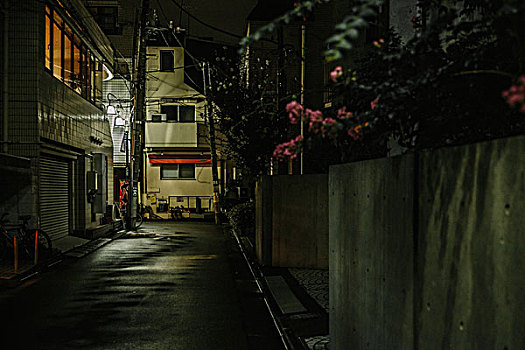 街道,东京,夜晚