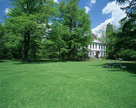 北海道,大学,树园