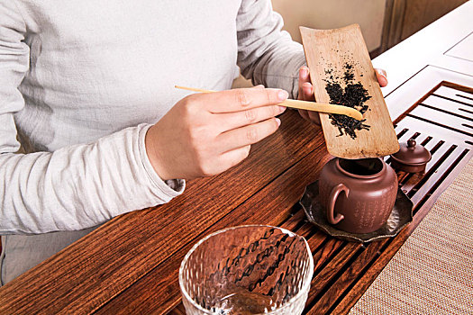女茶艺师在调制茶叶