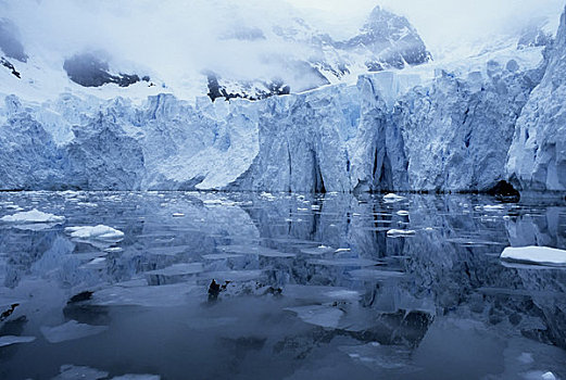 南极,南极半岛,冰河