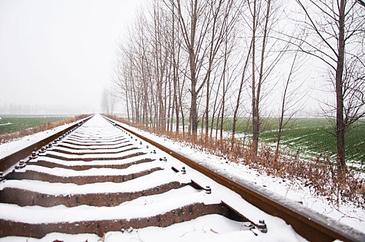 冬季被雪覆盖的铁路轨道
