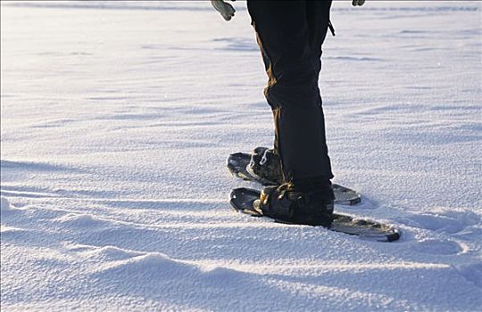 雪地鞋,动作,冰湖,北极圈,挪威北部,破旧