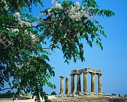多利安式,阿波罗神庙,古老,科林斯地峡,伯罗奔尼撒半岛,希腊