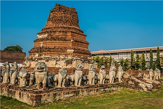 契迪,围绕,狮子,雕塑,寺院,庙宇,大城府,曼谷,泰国