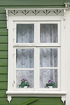 窗户,松恩,峡湾,南方,挪威