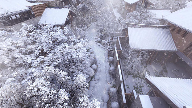 雪景