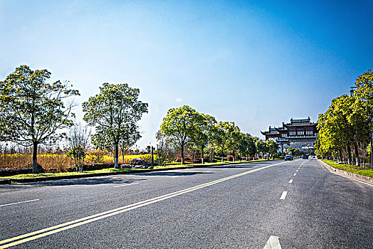 道路,阿尔卑斯山