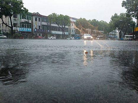 梅雨,防台防汛