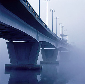 桥,雾