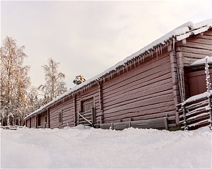 瑞典,老,农舍,冬天