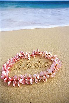 夏威夷,青绿色,海洋,水,泡沫,岸边,粉色,鸡蛋花,花环,书写,沙子