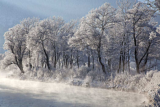 冬天,洛伊萨赫河,上巴伐利亚,巴伐利亚,德国南部,德国