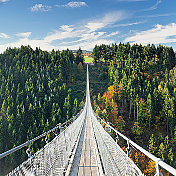 悬挂,索桥,莱茵兰普法尔茨州,德国,欧洲