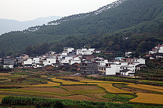 桂林,原野,自然,山头,风光,村庄,建筑,民居