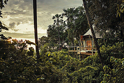 树屋,露营,奥卡万戈三角洲,博茨瓦纳,非洲