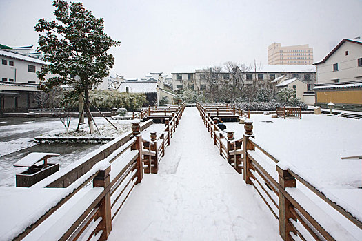 雪景,雪,冬天