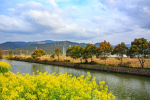 咸祥河,油菜花