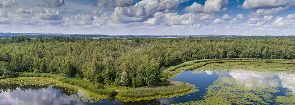 夏天,湖,绿色,树林,白云,俯视,蓝天,波兰,风景