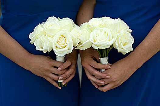 两个,伴娘,拿着,白色蔷薇,新娘手花