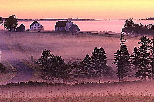 农场,晨雾,爱德华王子岛,加拿大