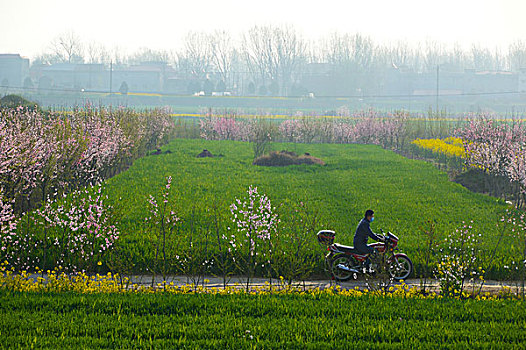 春天的田野图片