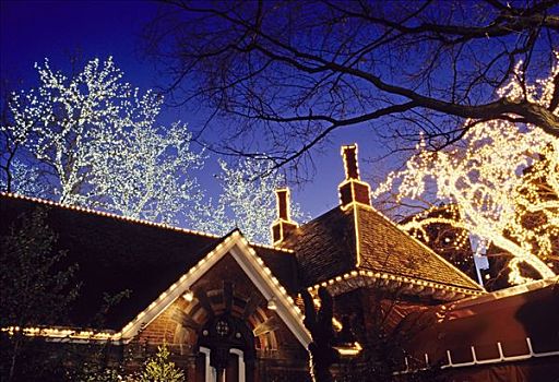 传统,餐馆,圣诞彩灯,中央公园,纽约,美国