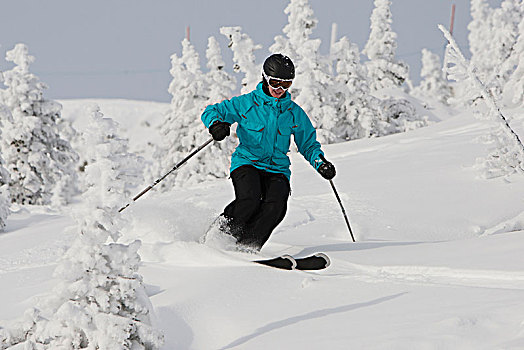 滑雪,惠斯勒山,惠斯勒,不列颠哥伦比亚省,加拿大