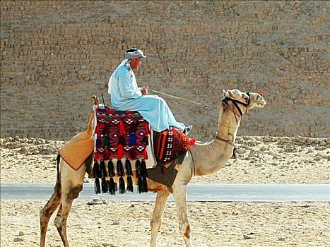 侧面,中年,男人,骑,骆驼