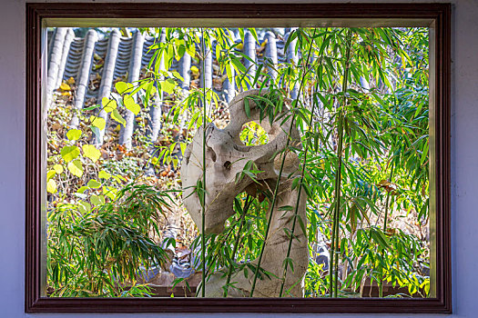 中式园林窗奇石景观