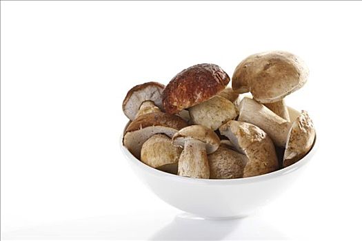 牛肝菌,蘑菇,碗