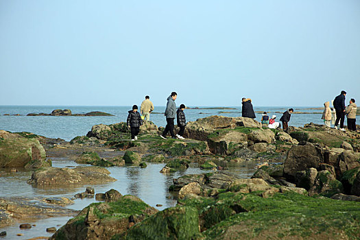 阳春三月暖意浓,游客漫步海滩放飞心情