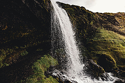 瀑布,茂密,绿色,风景,半岛,斯奈山半岛,冰岛