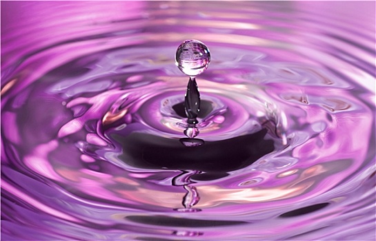 紫色,水滴