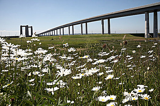 英格兰,肯特郡,穿过,2006年,上方,河,连接,岛,泰晤士河,河口,大陆