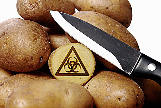 土豆,刀,警告,标识,生化危害,象征,图像,基因