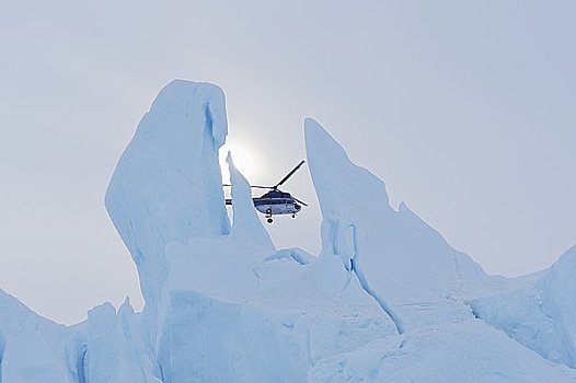 直升飞机,飞,后面,冰山,雪丘岛,南极半岛,南极