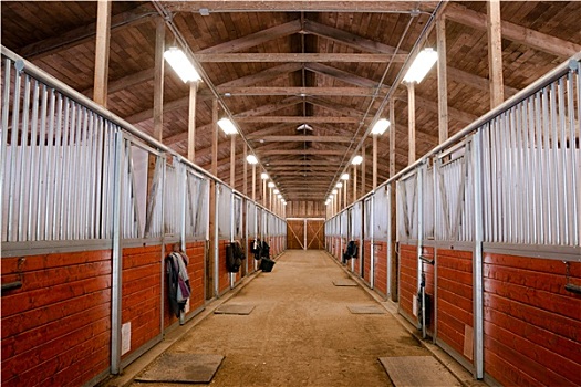 马,谷仓,动物,运动,围场,骑马,牧场,比赛,厩
