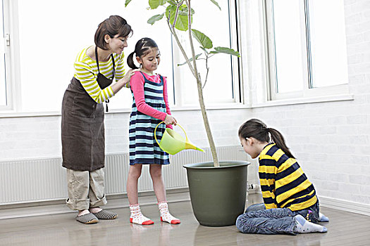 家庭,洒水壶,植物